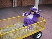 halloween blog
