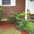 IMG_0014.JPG